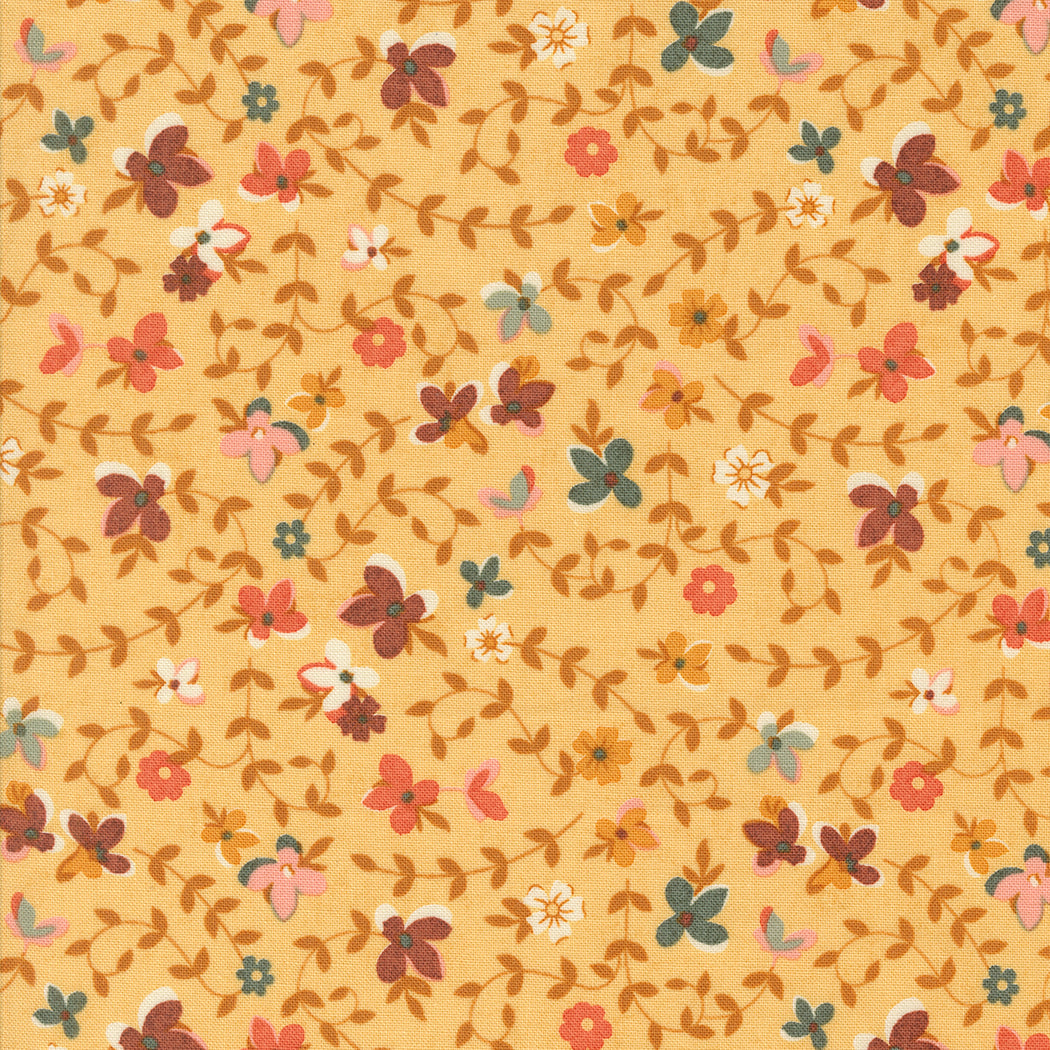 Acorn Hollow af Basic Grey candy