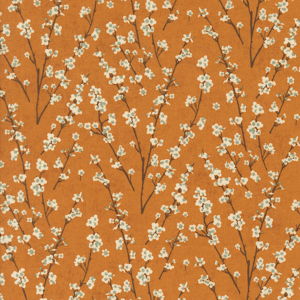 Acorn Hollow af Basic Grey candy