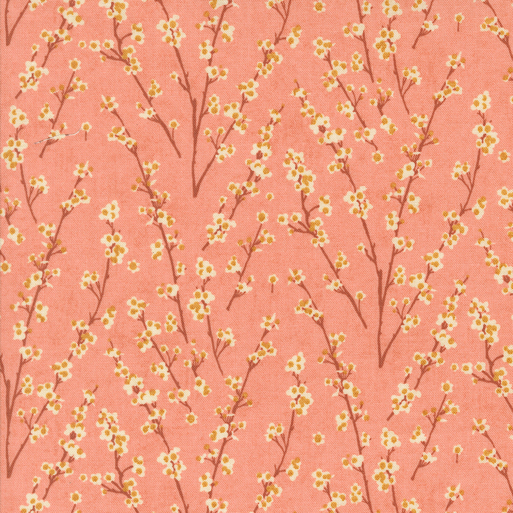 Acorn Hollow af Basic Grey candy