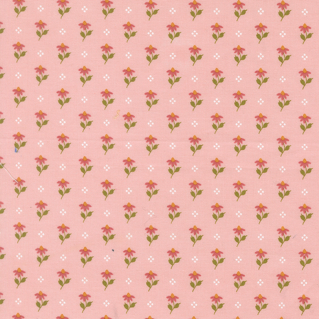 Wild Honey Lella Boutique charm pack