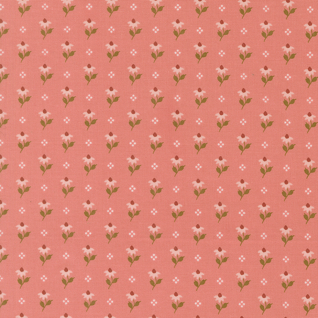 Wild Honey Lella Boutique charm pack