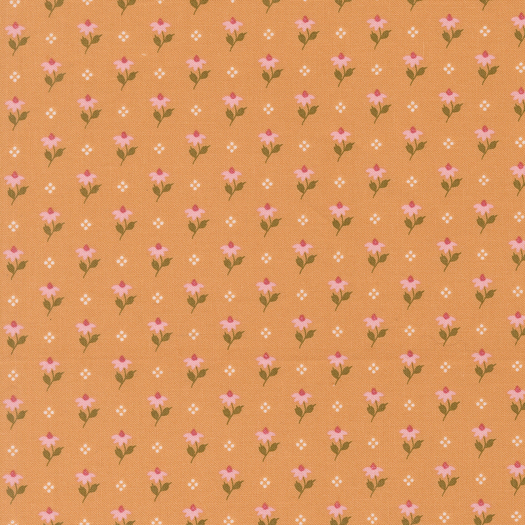 Wild Honey Lella Boutique charm pack