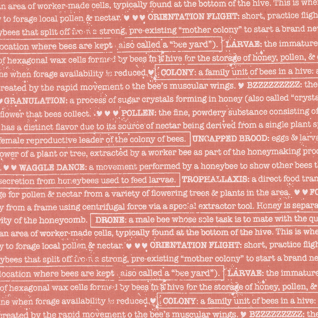 Wild Honey Lella Boutique charm pack