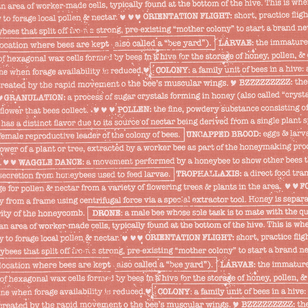 Wild Honey Lella Boutique charm pack