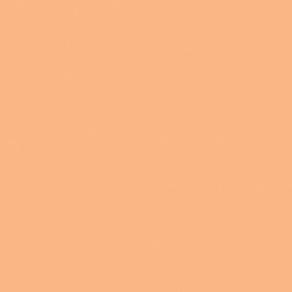 Pure Solids Shrimpy Art Gallery Fabric